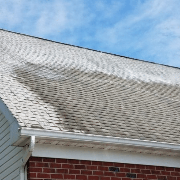 Roof-Cleaning